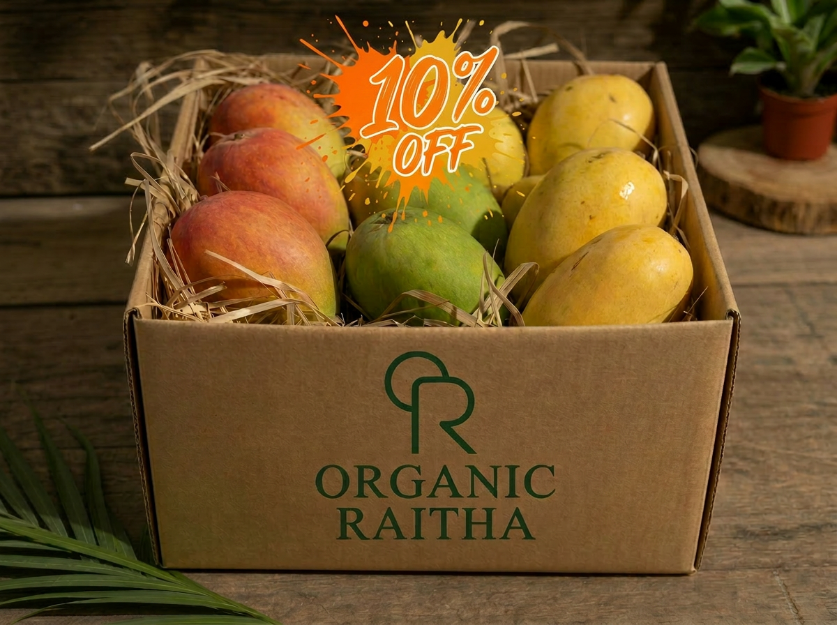 Hand-packed Organic Raitha mango carton with assorted heirloom mangoes